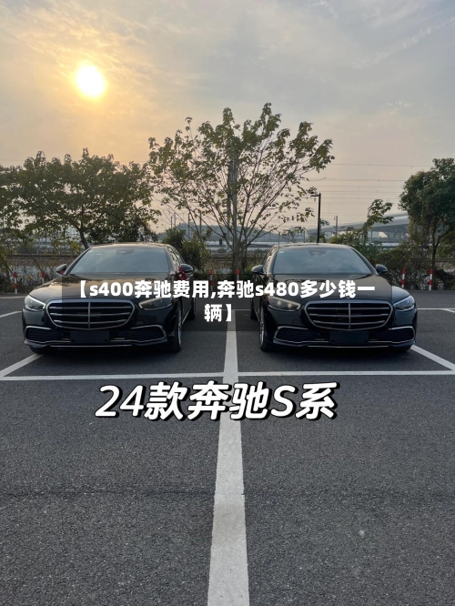 【s400奔驰费用,奔驰s480多少钱一辆】