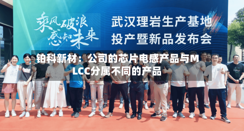 铂科新材:公司的芯片电感产品与MLCC分属不同的产品-第2张图片