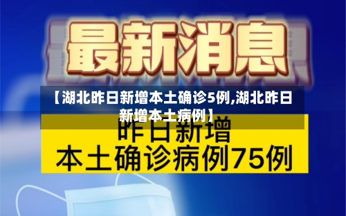 【湖北昨日新增本土确诊5例,湖北昨日新增本土病例】-第3张图片
