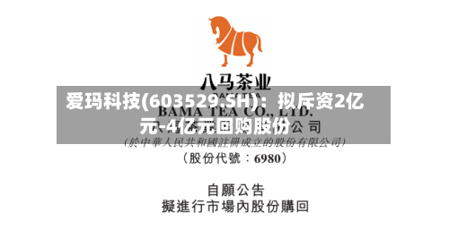 爱玛科技(603529.SH):拟斥资2亿元-4亿元回购股份