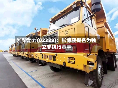 潍柴动力(02338)：张博获提名为独立非执行董事-第2张图片