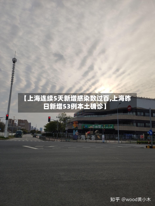 【上海连续5天新增感染数过百,上海昨日新增53例本土确诊】-第2张图片
